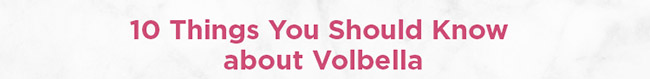 10 Things You Should Know about Volbella